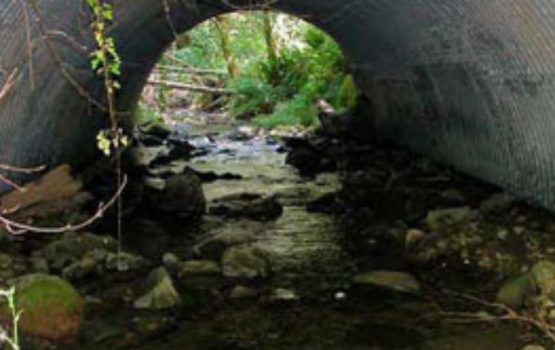 embedded elliptical culvert